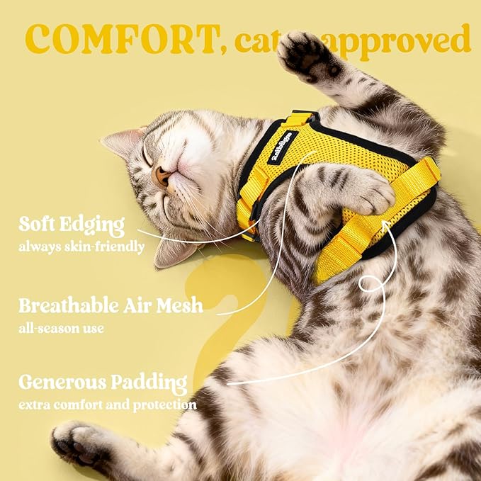 rabbitgoo Cat Harness and Leash Set, Escape Proof Kitten Harness for Safe Outdoor Walks, Soft Breathable Adjustable Vest with Reflective Strips for Kittens and Extra Small Cats, Yellow, XXS