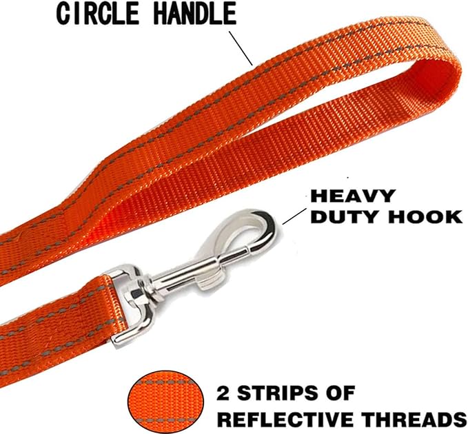 Reflective Dog Leash 4Ft /6 Feet Long, 3/4 Inch Wide, for Small and Medium Dogs