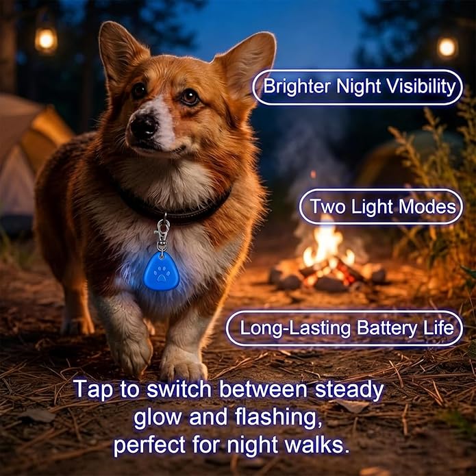 QUELIEN LED Dog Collar Light, Clip-On Dog Safety Light for Night Walking, High Visibility Light Up Dog Collar Accessory for Summer Camping & Hiking, Lightweight for All Pets, Blue