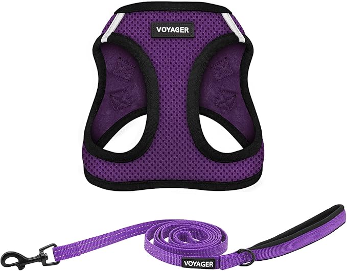 Best Pet Supplies Voyager Step-in Air All Weather Mesh Harness and Reflective Dog 5ft Leash Combo with Neoprene Handle, for Small, Medium and Large Breed Puppies - Set (Purple/Black Trim), Large