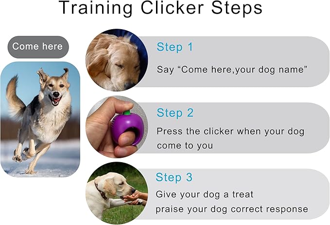 Pet Clicker for Dogs/Cats/Horses/Birds or Other Animals - Clickers for Training (Green)
