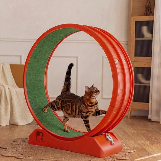 Cat Exercise Wheel, 39.4 Inch Indoor Treadmill for Cats with Carpeted Runway, Screw-Fixed Assembly for Easy Setup, Silent & Safe Fitness Equipment for Most Cats
