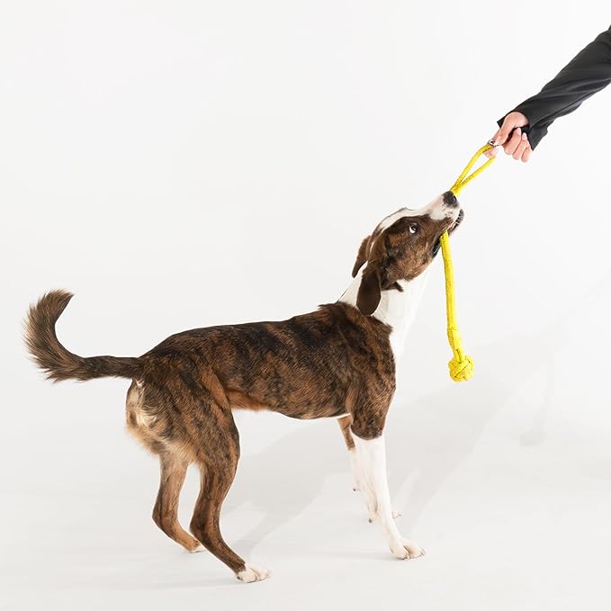 Playology Dog Toys | Tough Tug Knot for Puppies and Young Dogs | Chicken Scented Medium Chew Toy Tug Rope | Tug of War Puppy Essentials