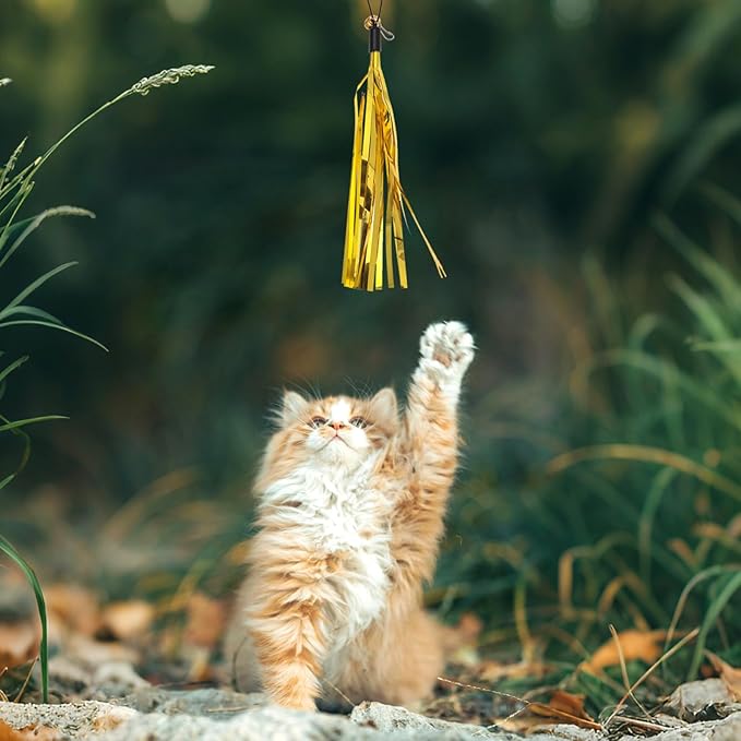 Andiker 7Pcs Cat Wand Toy, Cat Toy Set with 1 Long Steel Wand, 1 Double Headed Hook & 5 Crinkle Teaser Refills Stimulate Hunting Instincts Interactive Cat Toys for Indoor Cats and Kittens (Thick)