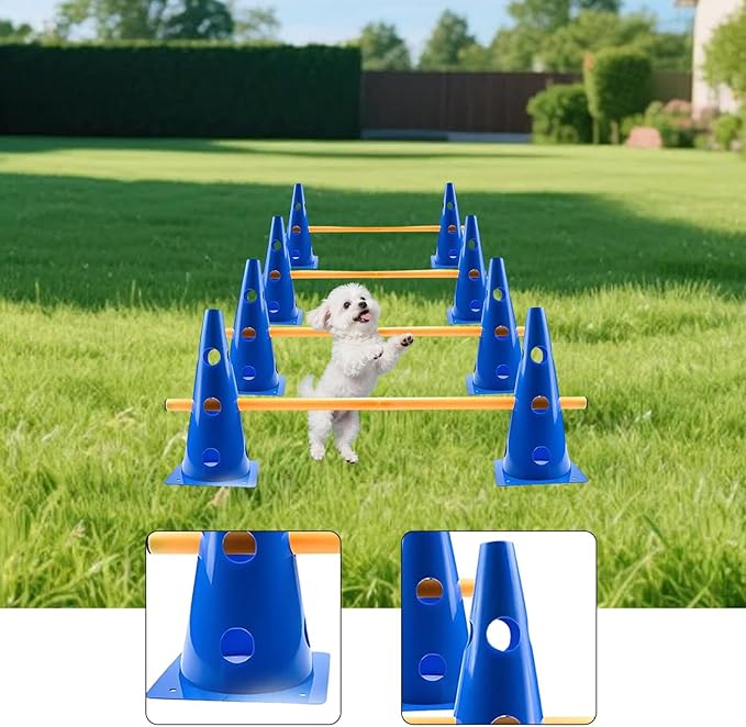 Dog Agility Hurdle Cone Set Cone and Pole for Soccer Fitness Basketball