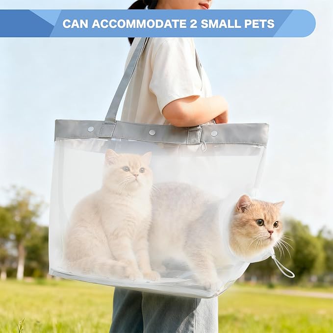 Soft Cat Tote Carrier, Breathable Mesh Pet Bag with Legs-Out Design, Foldable Cat Carrier for Walking, Suitable for Cats and Small Dogs up to 10 lbs Beige