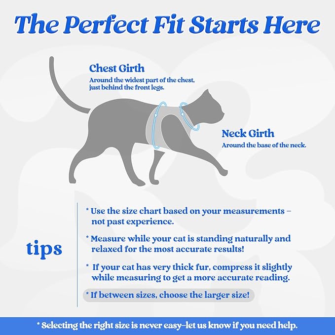 rabbitgoo Cat Harness and Leash, Step-in Escape Proof Kitten Harness Set, Soft Comfortable Cat Vest, Easy to Wear and Adjust, Reflective for Safe Outdoor Walking, Blue, Large