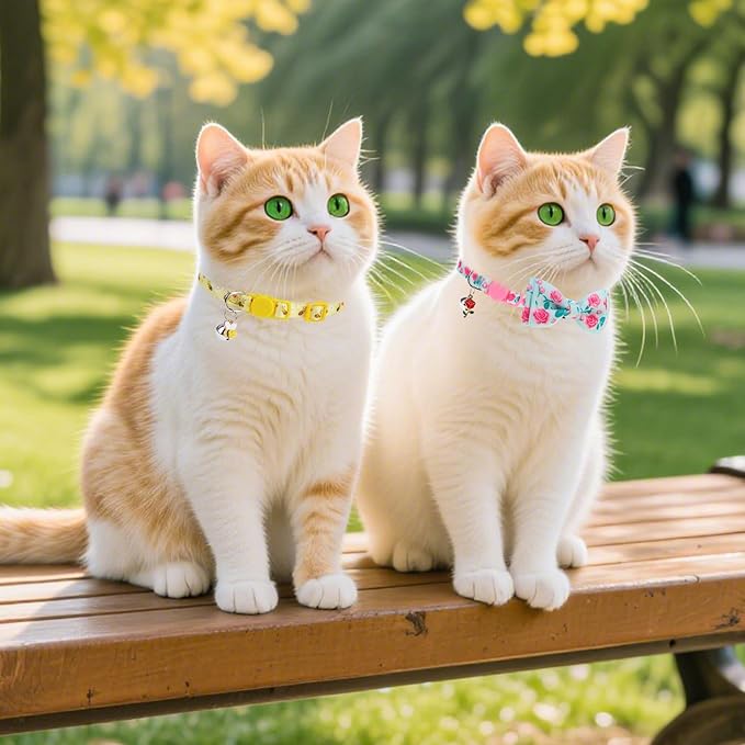 PUPTECK Cat Collar Breakaway with Bells, Kitten Collar Outfit Adjustable for Girl Boy Small Pet Puppy Bunny, Cute Costume Accessory with Safety Release Buckle (Bowtie-Floral)