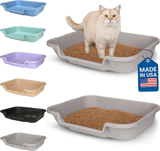KittyGoHere Senior Cat Litter Box, Large Litter pan, Open Top Low Entrance Kitty Litter Box, Lightweight Low Entry Litters Box, Durable, Made in USA (2 Pack - Misty Gray)