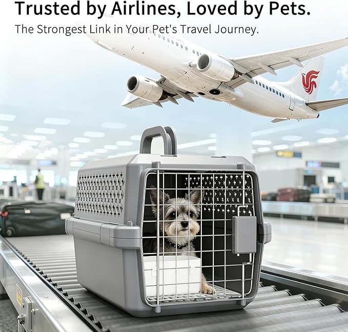 RIZZARI Portable Cat Carrier for Small Cats & Dogs:Secure Hard-Sided Pet Carrier with Ventilation - Metal Door & Carry Handle for Travel - Vet Visits & Daily Use (Gray, X-Small)