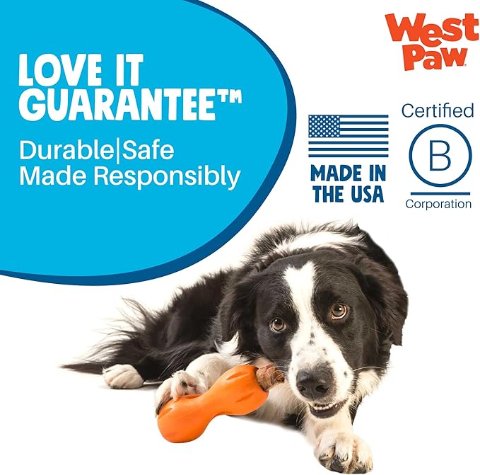 West Paw Qwizl Durable Zogoflex Dog Puzzle Toy for Mental Stimulation, and Enrichment - Treat Dispensing for Bully Sticks and Dental Sticks - Dishwasher Safe - Made in USA - Small - Granny Smith