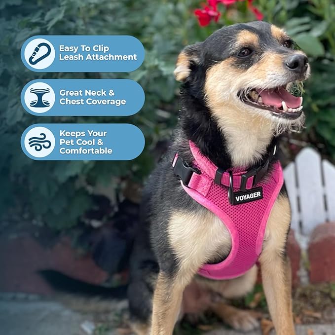 Best Pet Supplies Voyager Step-in Lock Pet Harness w Reflective Pet Leash Combo Set with Neoprene Handle 5ft - Supports Small, Medium and Large Breed Puppies/Cats - Fuchsia, S