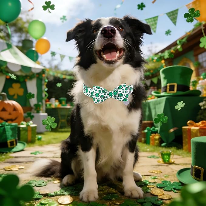 St. Patrick's Day Dog Collar with Bow Tie, Spring Shamrock Bowtie Collar for Girl Boy Dog, Lucky Clover Dog Collar with Metal Buckle, Green Collar for Dogs, XL