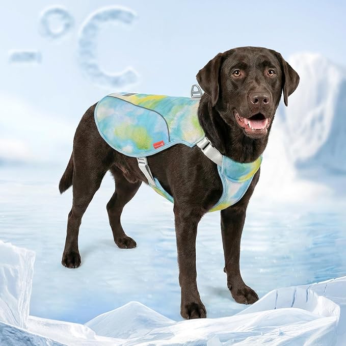 KYEESE Dog Cooling Vest, Breathable Mesh Dog Cooling Shirt for Large Dogs with D-Ring, Sun Protection Reflective Dogs Cooler Jacket with Adjustable Buckle for Summer Hiking Walking, Blue, 2XL