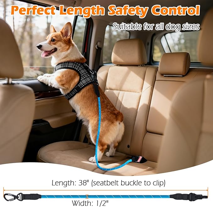 PetBonus Dog Seat Belt for Car, Durable Rope Dog Car Harness Seatbelt for Vehicle, Pet Tether Safety Restraint with Heavy Duty Buckle Hook Latch Lockable Clip for Small Medium Large Breeds(Light Blue)