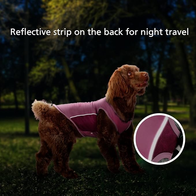 UPF 50+ Sun Protection Sleeveless Dog Shirt for Small Dogs - Breathable Lightweight Sports Fan T-Shirt with Reflective Strips, UV Protective Apparel P23ST00503S