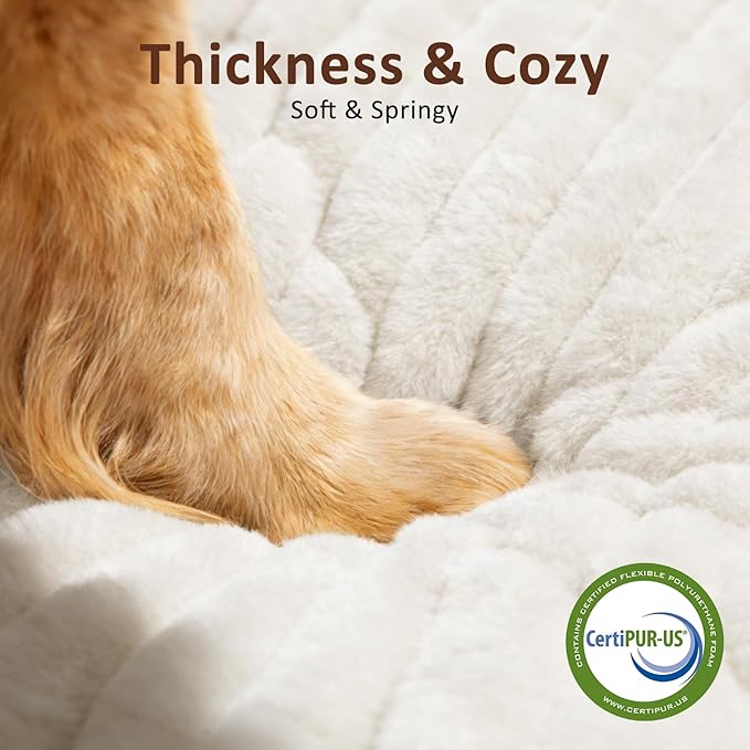 XL Dog Bed, Flat Pet Beds with Removable Washable Cover, Pet Mat Cute Dog Crate Bed Thick Shredded Chopped Crate Foam & Anti Slip Bottom for Indoor, 42"x27"x4" Cream