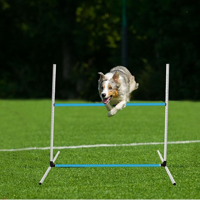 Halloscume 6 Pcs Dog Agility Training Equipments Dog Agility Jumps Hurdles Adjustable Jumps Hurdles Pet Jump Bars with Bag and Whistle for Indoor Outdoor Dogs Pet Jump Course Game(Blue and White)