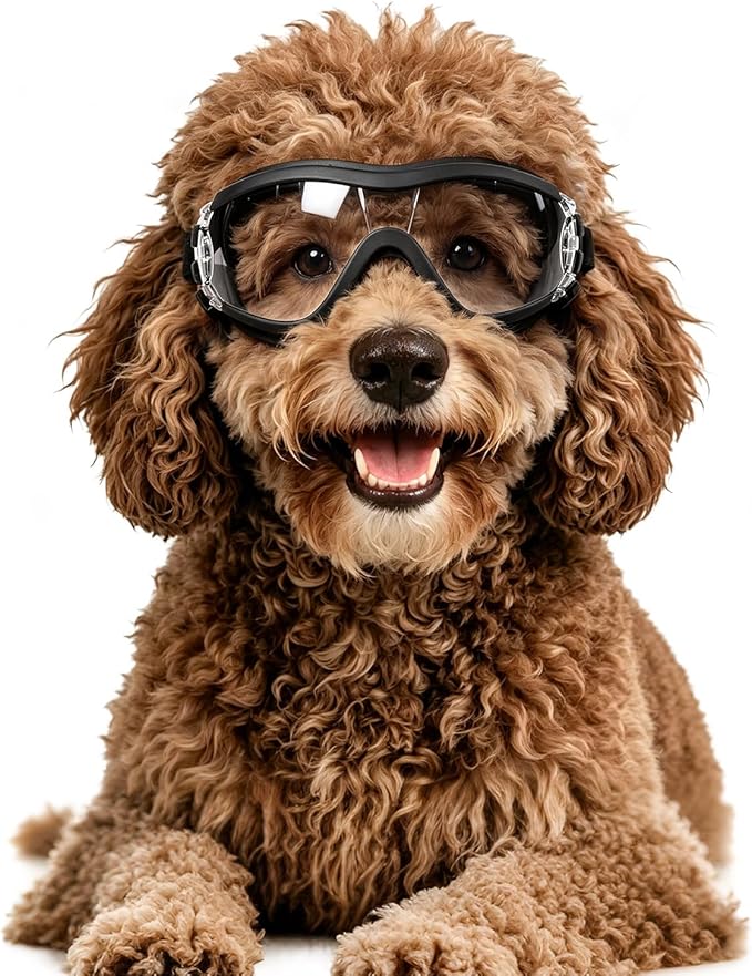 LESYPET Dog Goggles Large Breed, UV Wind Dust Protection Large Dog Sunglasses Eye Protection, Eye Wear Pet Glasses with Adjustable Strap for Outdoor Riding, L