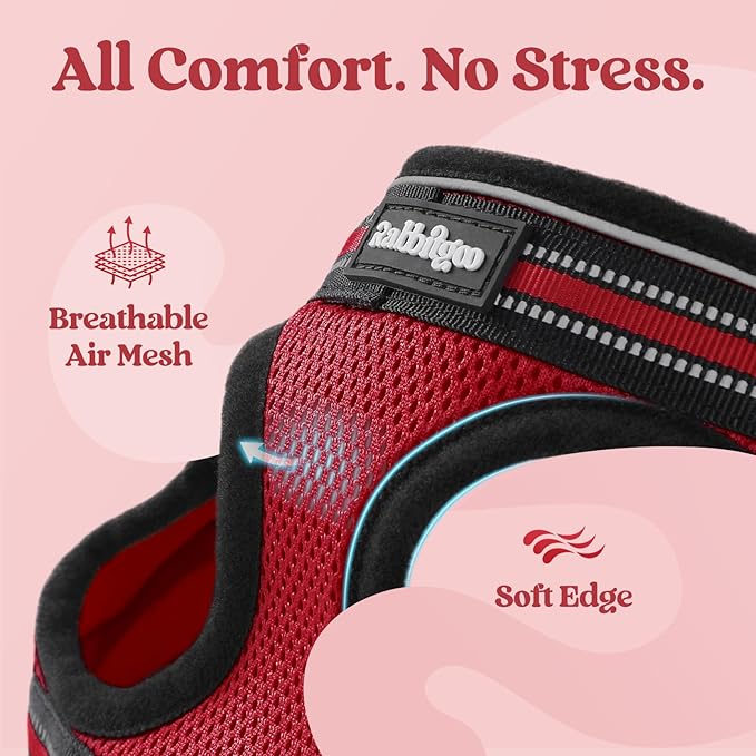 rabbitgoo Cat Harness and Leash, Step-in Escape Proof Kitten Harness Set, Soft Comfortable Cat Vest, Easy to Wear and Adjust, Reflective for Safe Outdoor Walking, Red, Large