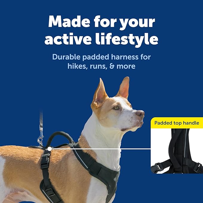 PetSafe EasySport Dog Harness Adjustable, Padded Dog Harness with Control Handle and Reflective Piping Medium, Black
