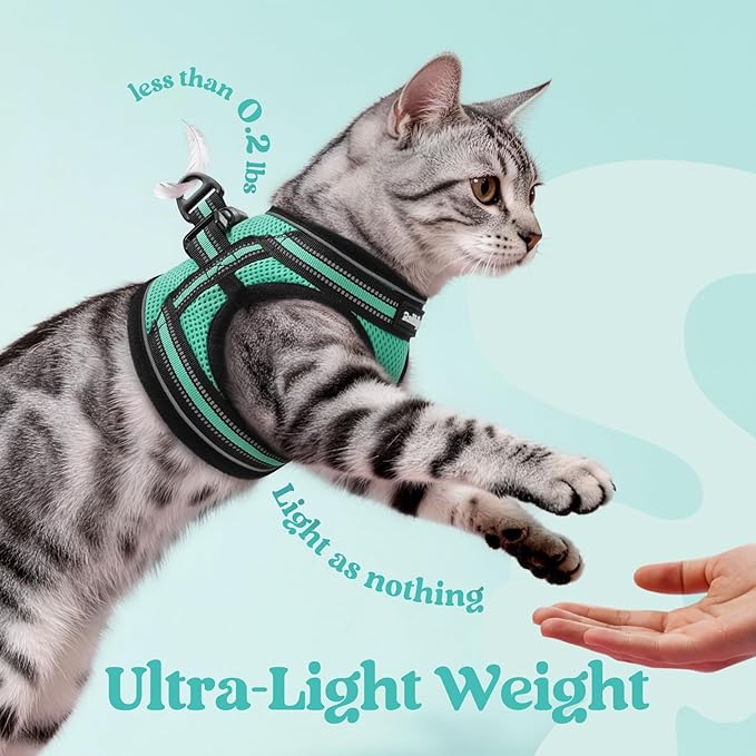 rabbitgoo Cat Harness and Leash, Step-in Escape Proof Kitten Harness Set, Soft Comfortable Cat Vest, Easy to Wear and Adjust, Reflective for Safe Outdoor Walking, Green, Large