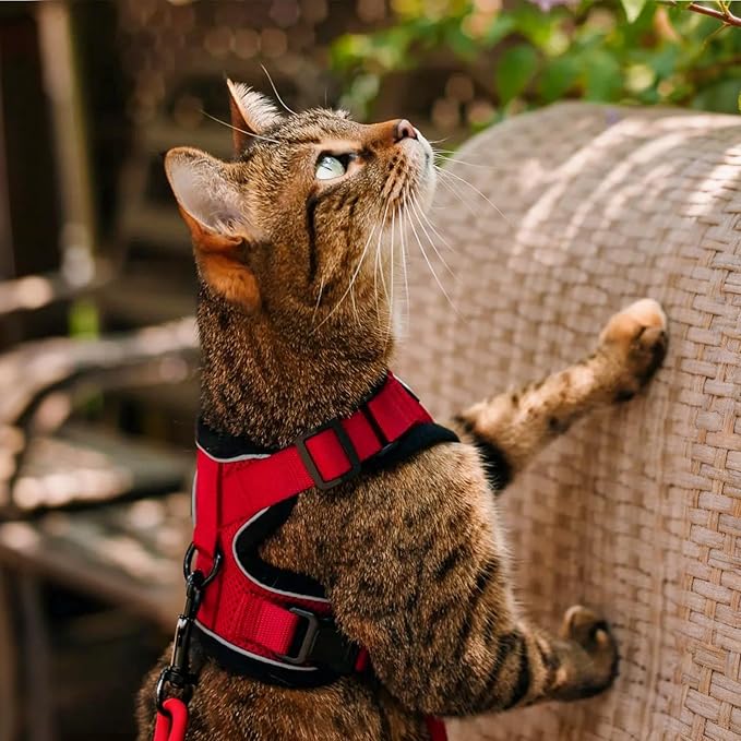 rabbitgoo Cat Harness and Leash Set, Escape Proof Kitten Harness for Safe Outdoor Walks, Soft Breathable Adjustable Vest with Reflective Strips for Kittens and Extra Small Cats, Red, XXS