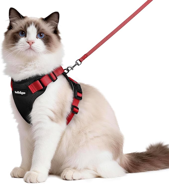 rabbitgoo Cat Harness and Leash Set, Escape Proof Vest Harness for Safe Outdoor Walks, Soft Breathable Adjustable Vest with Reflective Strips for Average to Large Cats, Black & Red, M