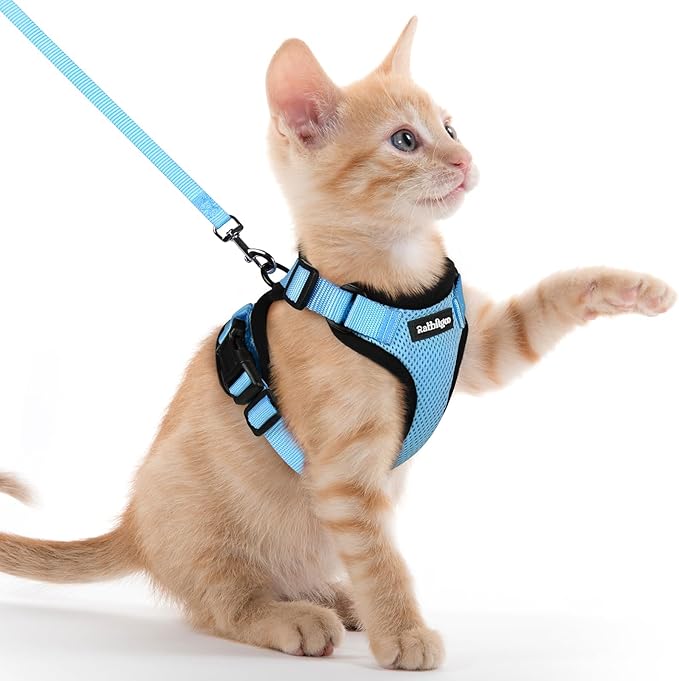 rabbitgoo Cat Harness and Leash Set, Escape Proof Kitten Harness for Safe Outdoor Walks, Soft Breathable Adjustable Vest with Reflective Strips for Kittens and Extra Small Cats, Light Blue, XXS