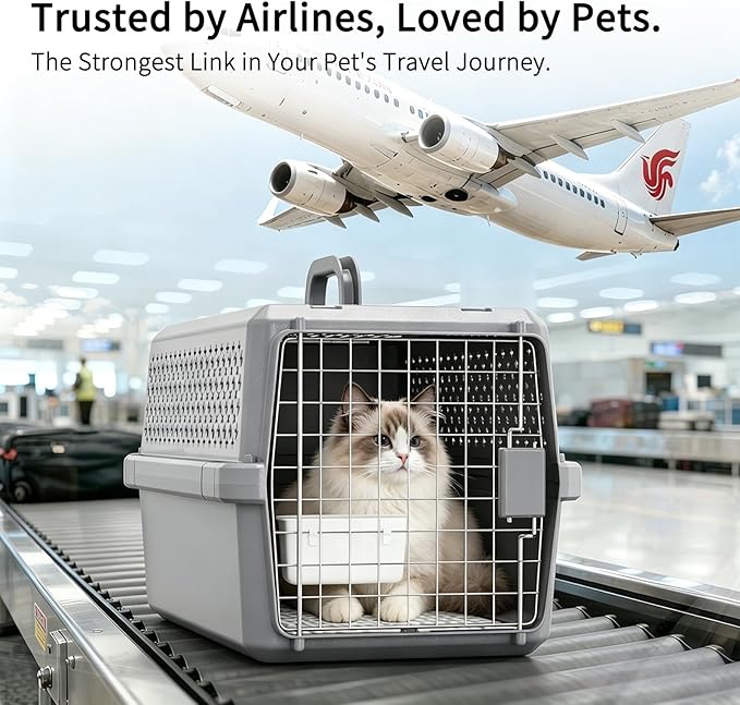 RIZZARI Portable Cat & Dog Carrier for Medium Pets:Hard-Sided Pet Travel Carrier with Ventilation - Secure Metal Door and Carry Handle for Travel - Vet Visits & Car Rides (Gray, Medium)