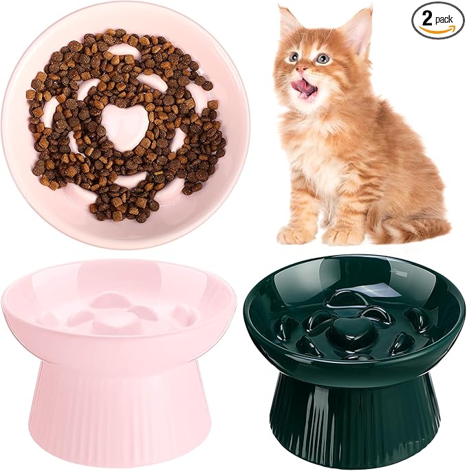 Tioncy 2 Pcs Raised Cat Slow Feeder Bowl Ceramic Elevated Cat Dog Food Bowl No Spill High Edge for Dry Wet Food and Water Easy to Clean, Dishwasher Safe (Pink,Dark Green)