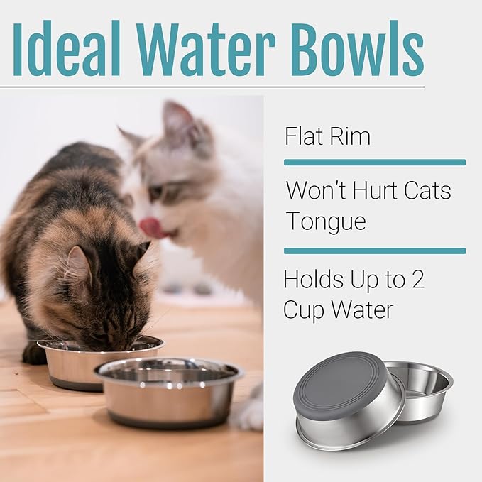 PEGGY11 Nonslip Stainless Steel Dog Cat Bowls, 2 US Cup, 2 Count