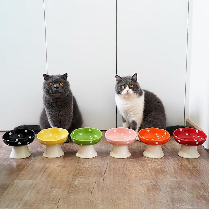 Ceramic Elevated Cat Bowls, Tilted Raised Pet Dish Anti Vomit Kitten Bowl for Indoor Cats, Whisker Friendly Pet Food and Water Bowl for Kitten, Cat, Puppies, Dishwasher Safe (Orange)