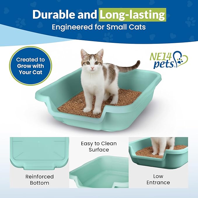 KittyGoHere Senior Cat Litter Box, Small Litter pan, Open Top Low Entrance Kitty Litter Box, Lightweight Low Entry Litters Box, Durable, Made in USA (2 Pack - Apple Green)