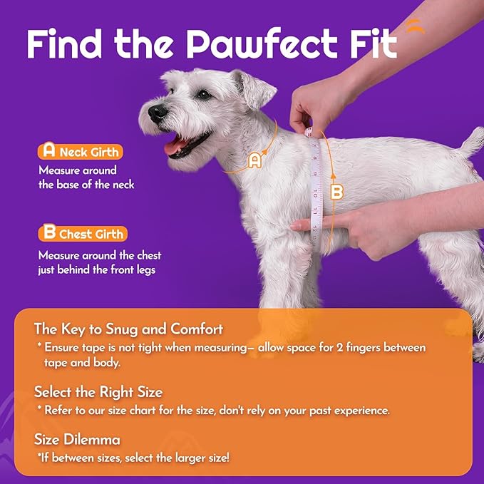 Eagloo Small Dog Harness and Leash Set, Step in Puppy Vest with Breathable Soft Mesh, Walking Reflective Pet Harness for Small Dogs, Purple, M