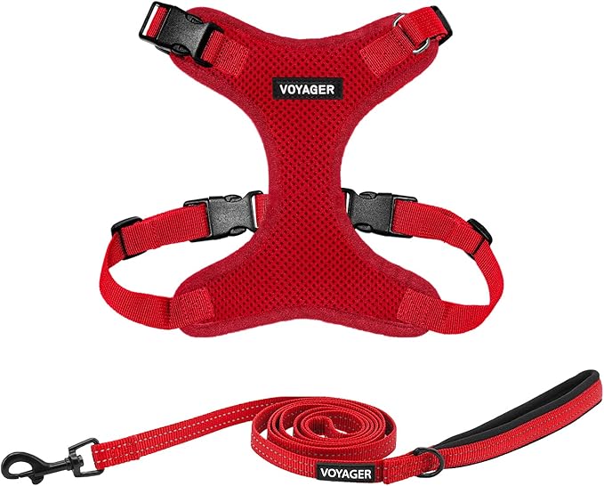 Best Pet Supplies Voyager Step-in Lock Pet Harness w Reflective Pet Leash Combo Set with Neoprene Handle 5ft - Supports Small, Medium and Large Breed Puppies/Cats - Red, S