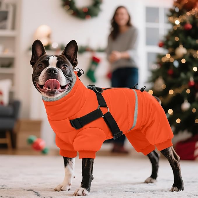 BRKURLEG Small Dog Winter Coat with Harness Built in, Orange Winter Dogs Jackets, Fullbody Dog Coat, Dogs Snowsuits Reflective Windproof Cold Weather Coats, Pet Warm Fleece Coats, M