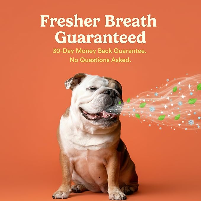 Jasper Dog Tooth Brushing Kit and Dog Toothpaste Kit 360 Dog Toothbrush Enzymatic Plaque Remover Improves Bad Breath Natural Pet Toothpaste Dog Toothbrush and Toothpaste 2 oz Chicken Flavor