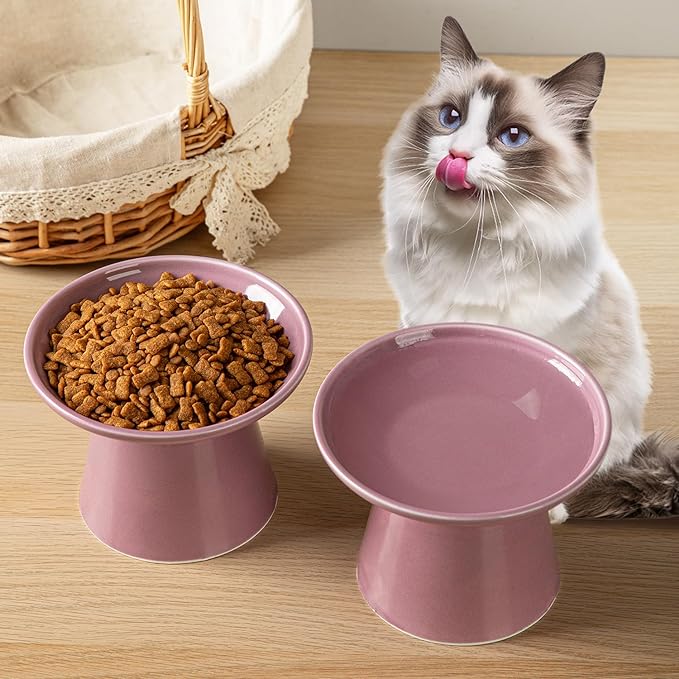 6.2 Inch Extra Wide Elevated Ceramic Cat Bowls, Food and Water Bowl Set for Elder Big Cats Small Dogs, Raised Design for Pet Easy Eating, Protect Cat's Spine Set of 1(Dark Purple)