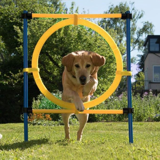 PAWISE Dog Agility Training Equipment,Puppy Agility Kit with Jump Ring, Adjustable Hurdles & Weave Poles,Outdoor Dog Obstacle Course for Backyard,Park Training, Portable Dogg Exercise Set