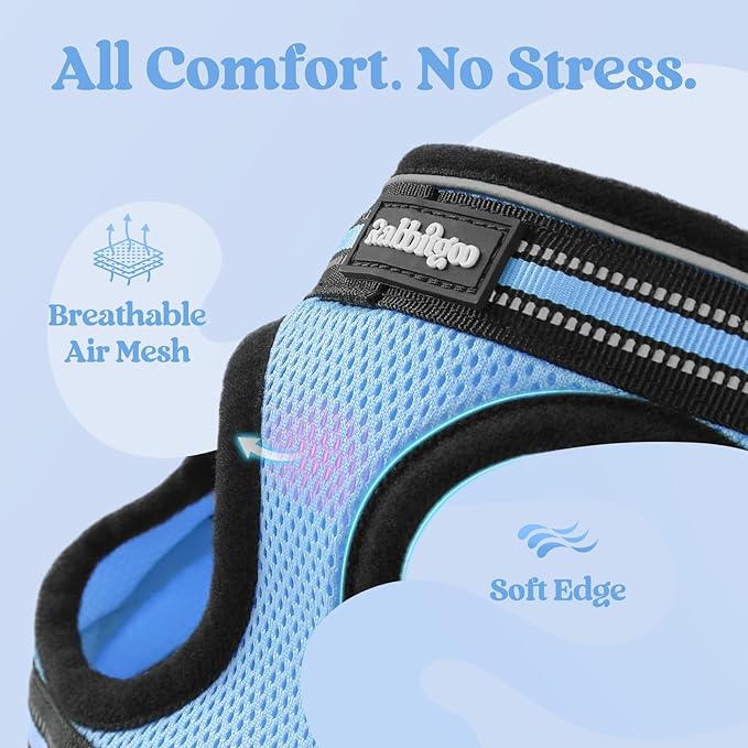 rabbitgoo Cat Harness and Leash, Step-in Escape Proof Kitten Harness Set, Soft Comfortable Cat Vest, Easy to Wear and Adjust, Reflective for Safe Outdoor Walking, Light Blue, X-Large