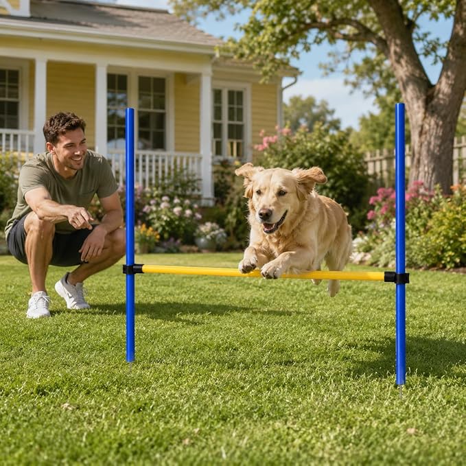 Dog Agility Training Equipment Set, 6 Piece Course with Adjustable Jump Bars, Carrying Bag (6)