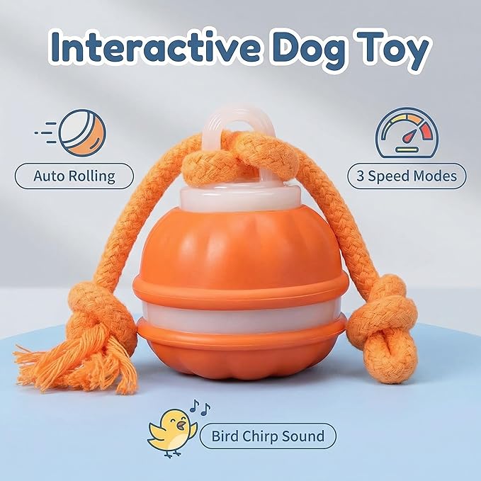 Winb Interactive LED Dog Ball （4 inch）- USB Rechargeable Motion-Activated Rolling Toy for Small to Large Dogs, Dogs Ball Play and Wicked Fun,Squeaky Sound & Stimulation, Orange