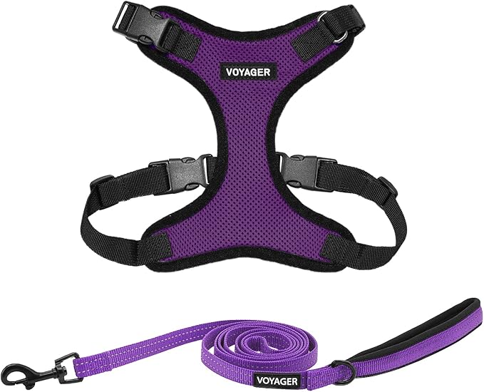 Best Pet Supplies Voyager Step-in Lock Pet Harness w Reflective Pet Leash Combo Set with Neoprene Handle 5ft - Supports Small, Medium and Large Breed Puppies/Cats - Purple/Black Trim Set, M