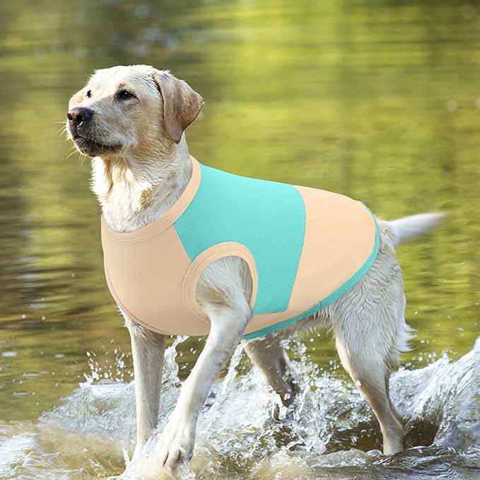 BRKURLEG Summer Dog Cooling Vest Quick Dry Breathable Dogs Cooling Shirts UPF 50+ Sun Protection Dog Shirt Lightweight Pet Shirts for Outdoor Adventures, Walking, Beach, GreenYellow, XL