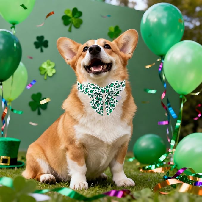 St. Patrick's Day Dog Collar with Bow Tie, Lucky Shamrock Bowtie Collar Adjustable for Girl Boy Dog, Trefoil Dog Collar Durable, Spring Green Collar for Dogs, M