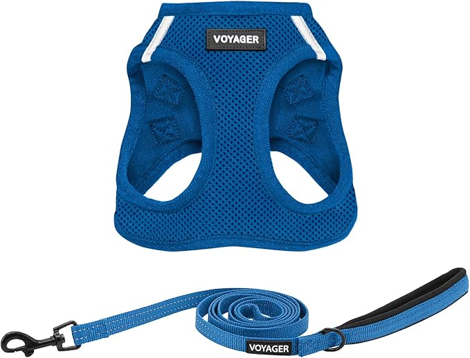 Best Pet Supplies Voyager Step-in Air All Weather Mesh Harness and Reflective Dog 5ft Leash Combo with Neoprene Handle, for Small, Medium and Large Breed Puppies - Set (Royal Blue), XXX-Small