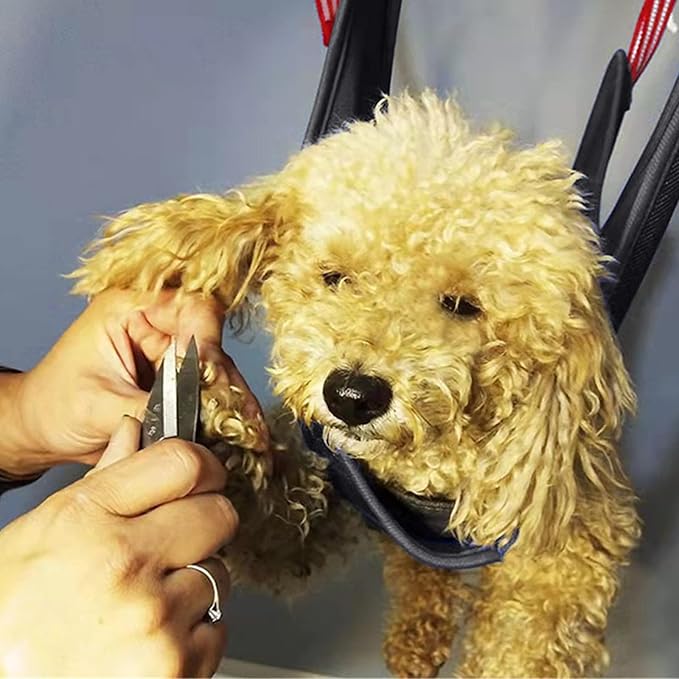 Dog Grooming Hammock Harness, Pet Hammock for Grooming with 2 S Hooks, Dog Sling Harness for Cats&Dogs Teeth Cleaning, Shower, Nail Clipping Small&Medium Breed (Black M)
