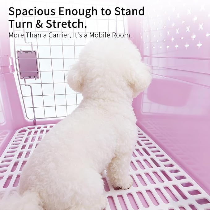 RIZZARI Medium Cat Carrier for Cats & Small Dogs: Durable Hard-Sided Pet Carrier with Ventilated Design -Metal Door & Portable Handle for Safe Travel and Daily Transport (Pink, Medium)