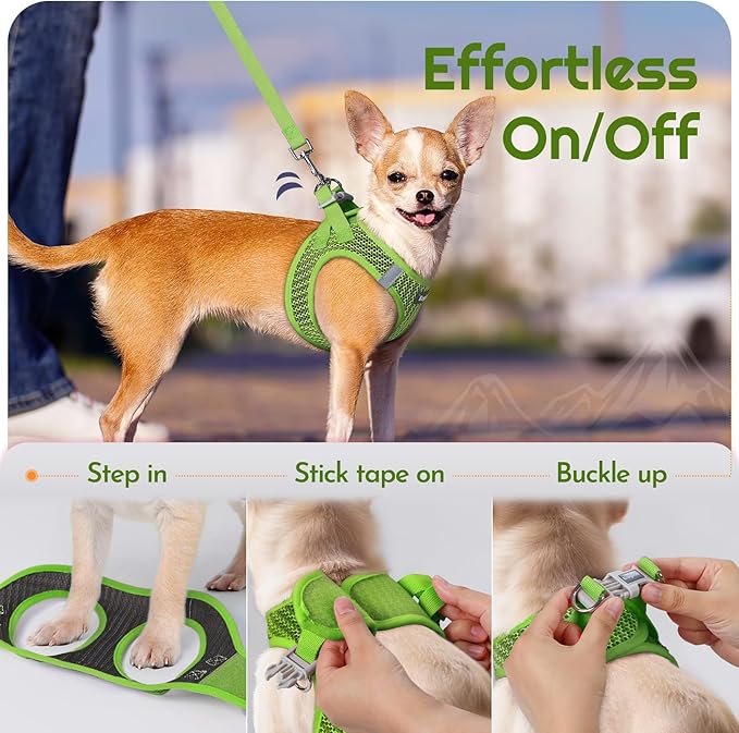 Eagloo Small Dog Harness and Leash Set, Step in Puppy Vest with Breathable Soft Mesh, Walking Reflective Pet Harness for Medium Small Dogs, Green, M